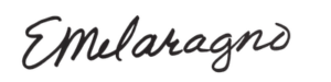 EMelaragno Logo